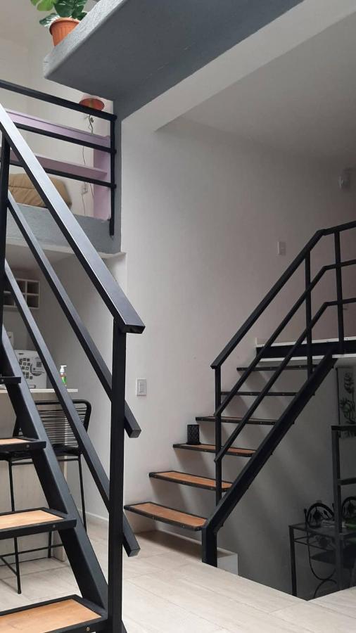 Апартаменти Coqueto Loft Palermo Hollywood Буенос-Айрес Екстер'єр фото