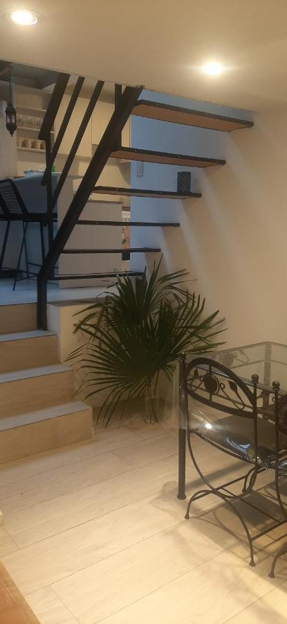 Апартаменти Coqueto Loft Palermo Hollywood Буенос-Айрес Екстер'єр фото
